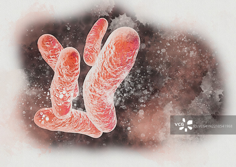 线粒体插图图片素材