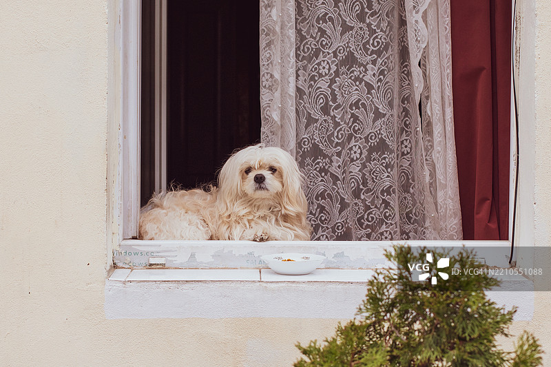 布拉索夫的旅行渴望：探索罗马尼亚的历史瑰宝图片素材