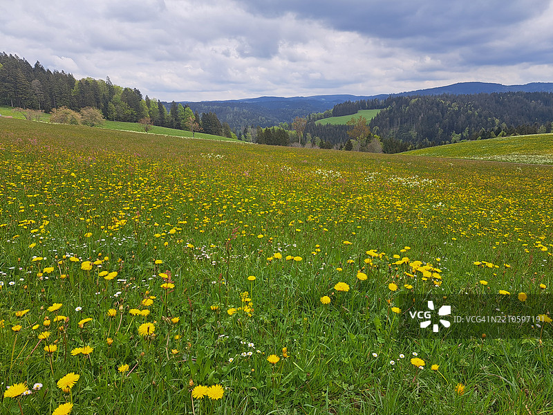 云雾缭绕的天空下，田野的美丽景色图片素材