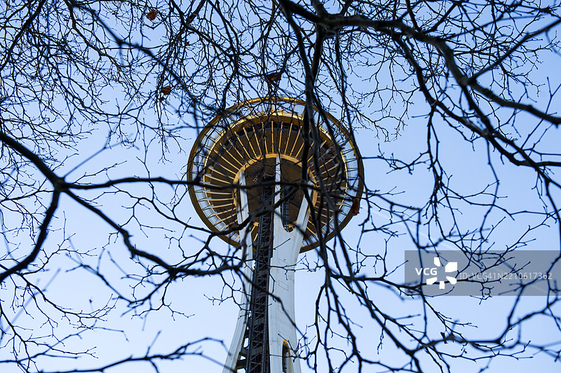 西雅图的太空针塔与光秃的树枝图片素材