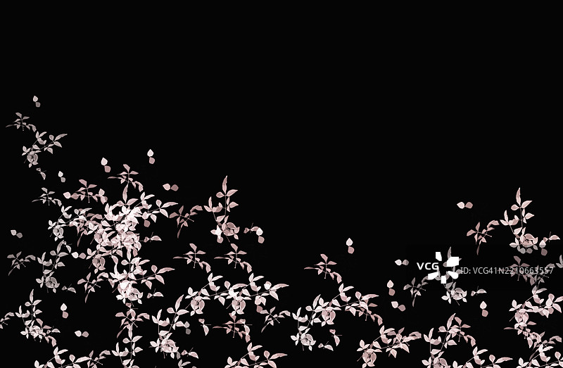 黑色背景上的抽象水彩粉色花卉边框。图片素材