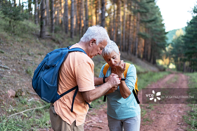 老年夫妇在森林中使用智能手表徒步旅行图片素材