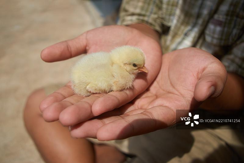 在关爱之手中重生图片素材