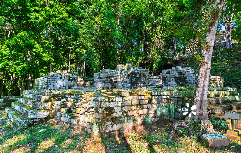 洪都拉斯科潘的玛雅遗址墓地群图片素材