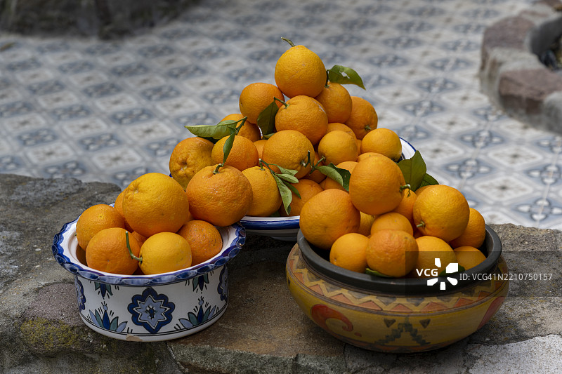 希腊莱斯沃斯岛的橙子园图片素材