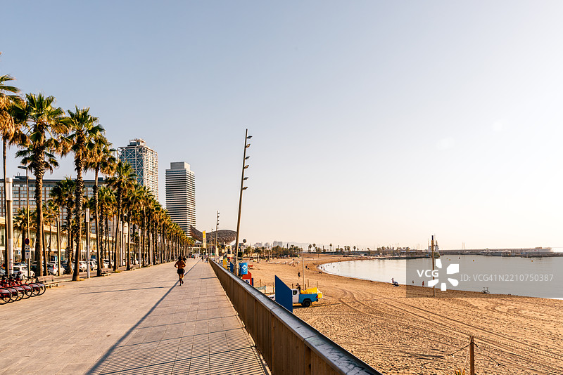 巴塞罗那西班牙巴塞罗内塔海滩阳光明媚的夏日棕榈树长廊图片素材