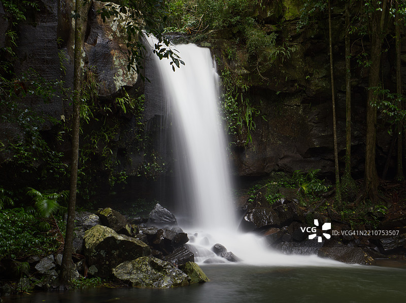 森林中的瀑布景观图片素材