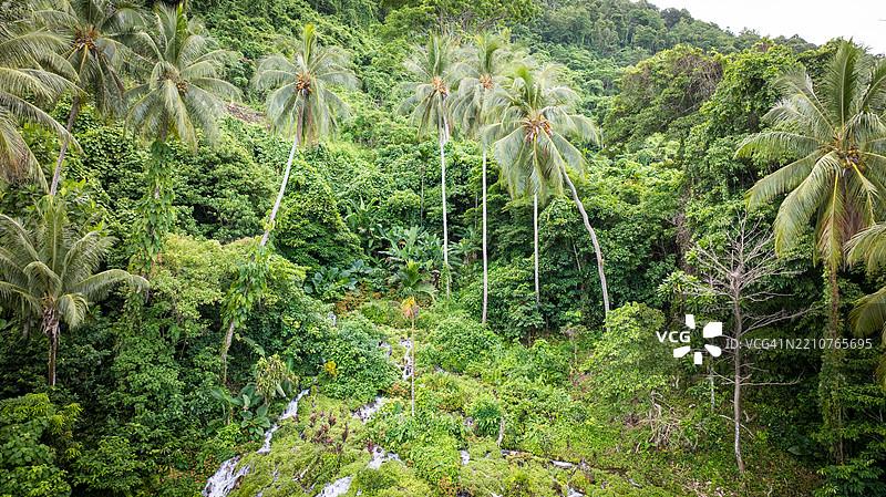 帕姆·科尔瓦拉瀑布，新爱尔兰，巴布亚新几内亚图片素材