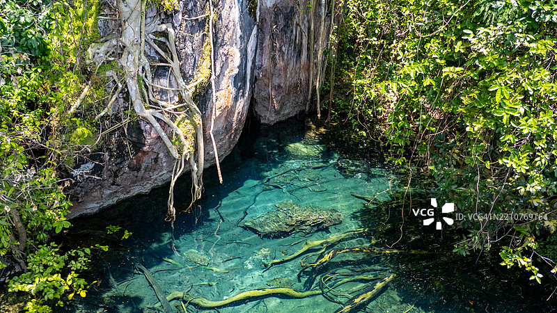 巴西托坎廷斯州帕尔马斯森林中的树木俯视图图片素材