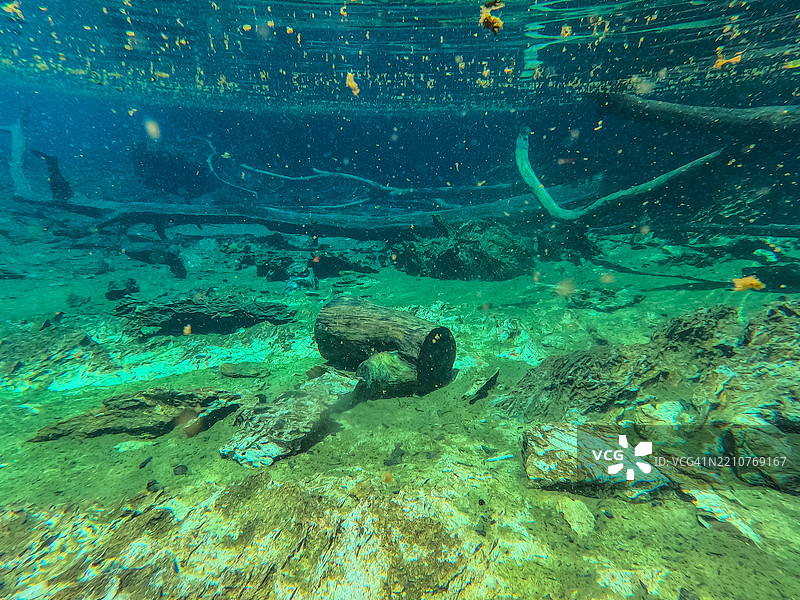 巴西托坎廷斯州帕尔马斯的水下歌手图片素材