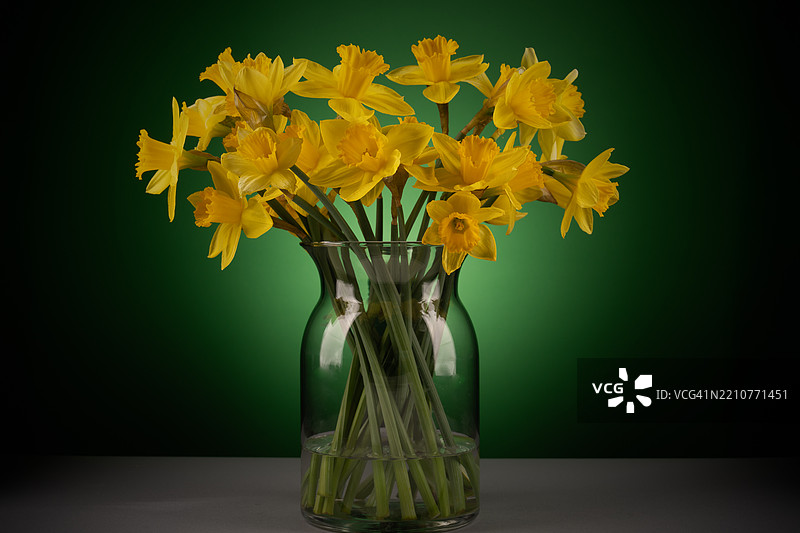 黄色花朵在花瓶中的特写， 美国， 美国图片素材