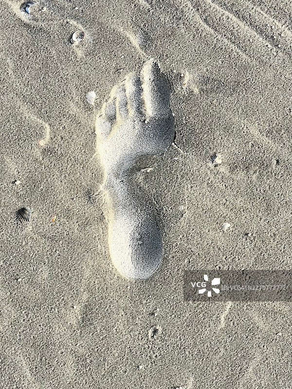 沙滩上爪印的高角度视图图片素材