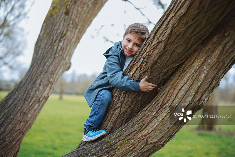 拥抱树木 - 爱自然图片素材