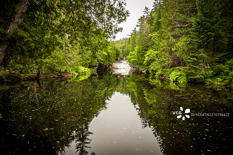 森林自然保护区中的瀑布和河流图片素材
