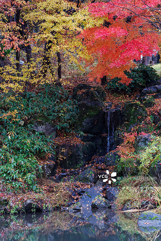 寺庙旁的公园。池塘边有一个小瀑布。秋天的落叶正好适合这个季节。图片素材