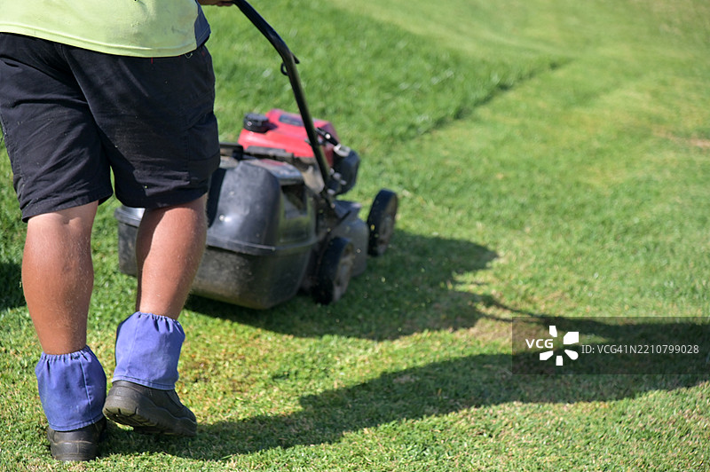 澳大利亚园丁正在使用割草机图片素材