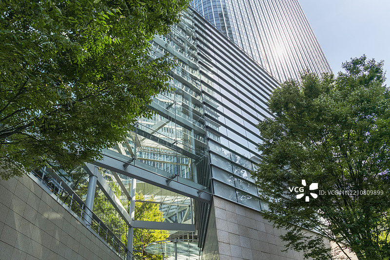 现代建筑与植物。图片素材