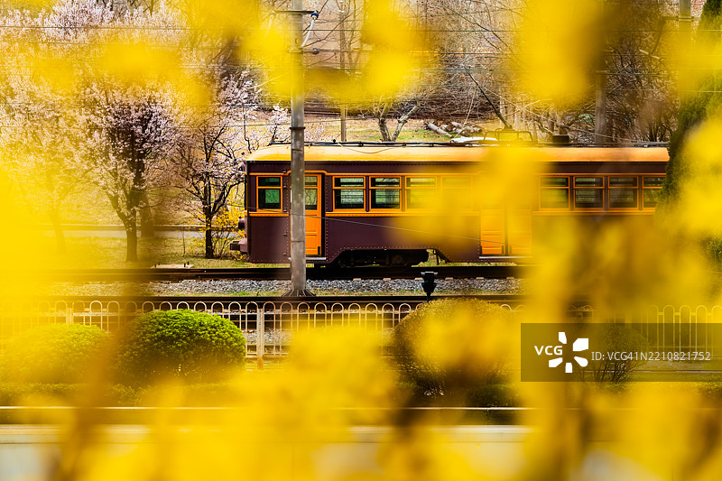 中国大连的传统老式电车。图片素材