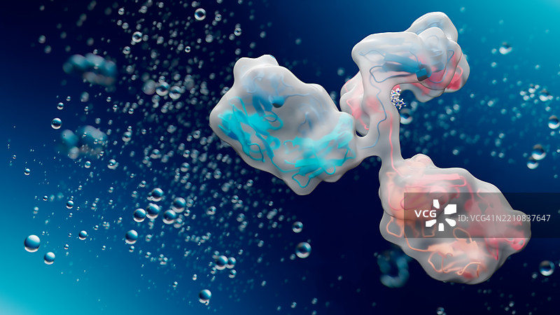 抗体分子透明结构视图图片素材