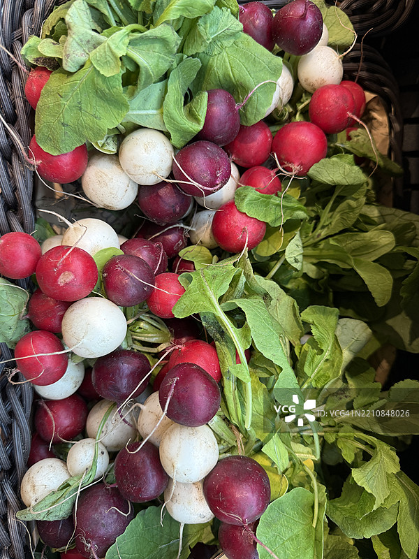 新鲜进口的多彩彩虹萝卜图片素材