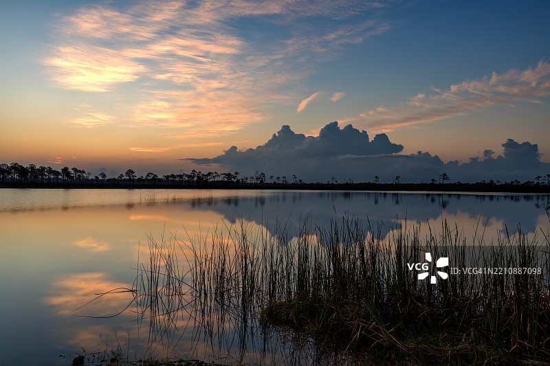 黎明前的光线和云彩在佛罗里达州庞塔戈尔达附近的巴布科克野生动物管理区的韦布湖中倒映。图片素材