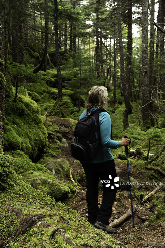前往新罕布什尔州拉斐特山的绿叶小屋图片素材