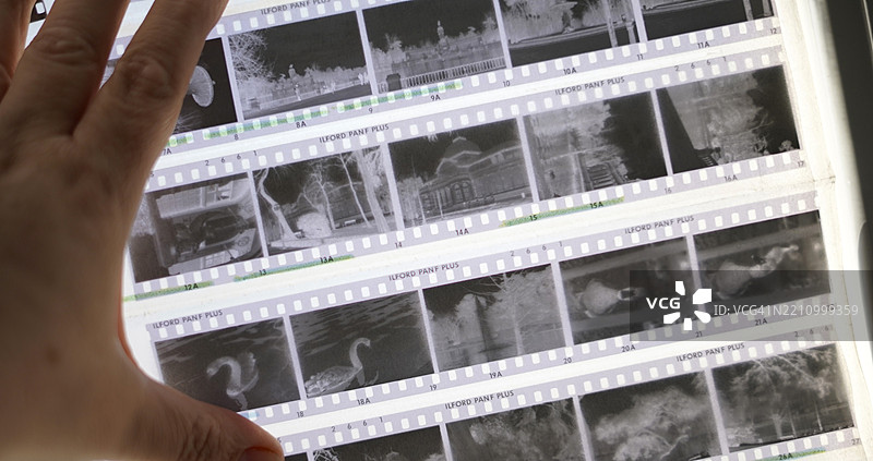 审查黑白负片胶卷。图片素材