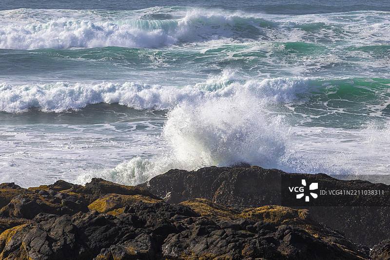 2025年3月8日 Smelt Sands州立休闲区 - 雅哈茨图片素材