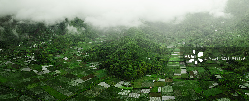 热带岛屿龙目岛的农业田野鸟瞰图图片素材