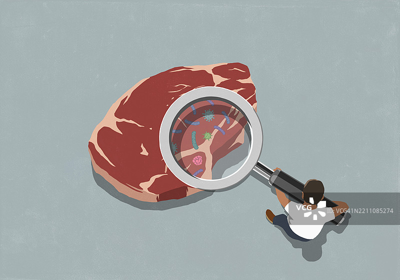 男子用大放大镜观察生牛排，揭示细菌。图片素材