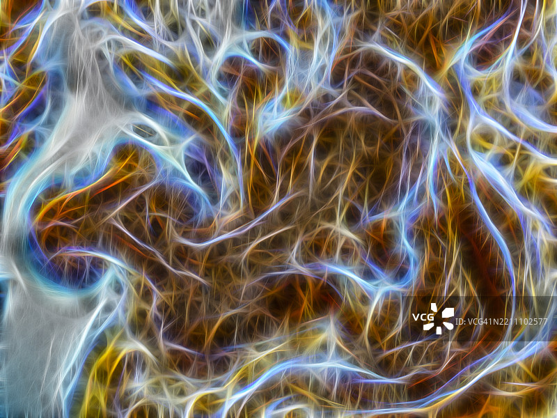 抽象背景，互联的光纤神经网络传输数据。图片素材