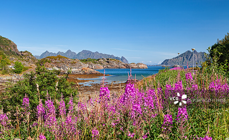 挪威洛福滕群岛卡贝尔瓦格村基尔克瓦根湾的低潮图片素材