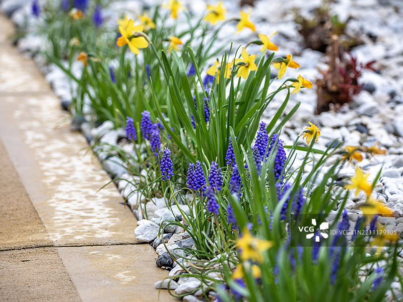 春季装饰图片素材