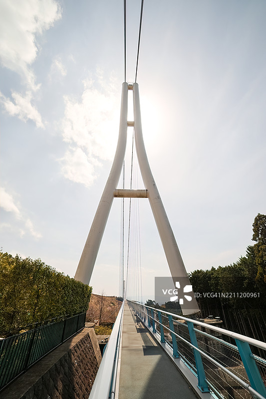 从70米高、400米长的悬索桥顶端往下看，山樱花和其他樱树正盛开。图片素材