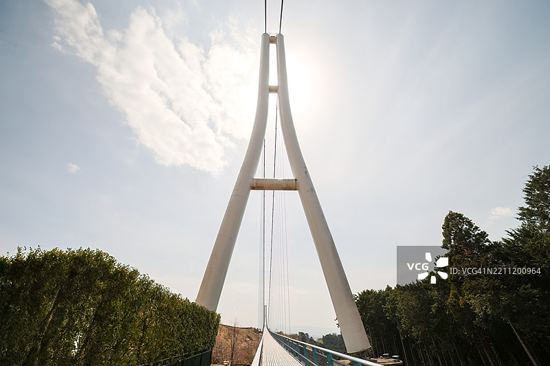 从70米高、400米长的悬索桥顶端往下看，山樱花和其他樱树正盛开。图片素材