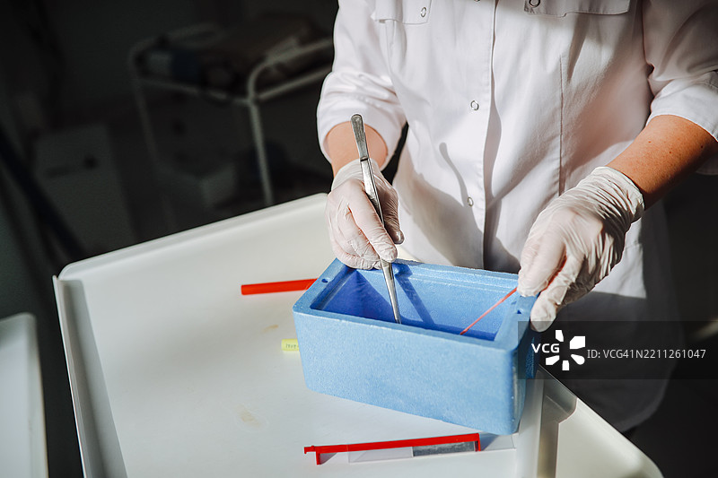 未来家庭潜力 - 在持续监控下，安全存放在冰霜覆盖的储存箱中的可行胚胎，留白空间图片素材