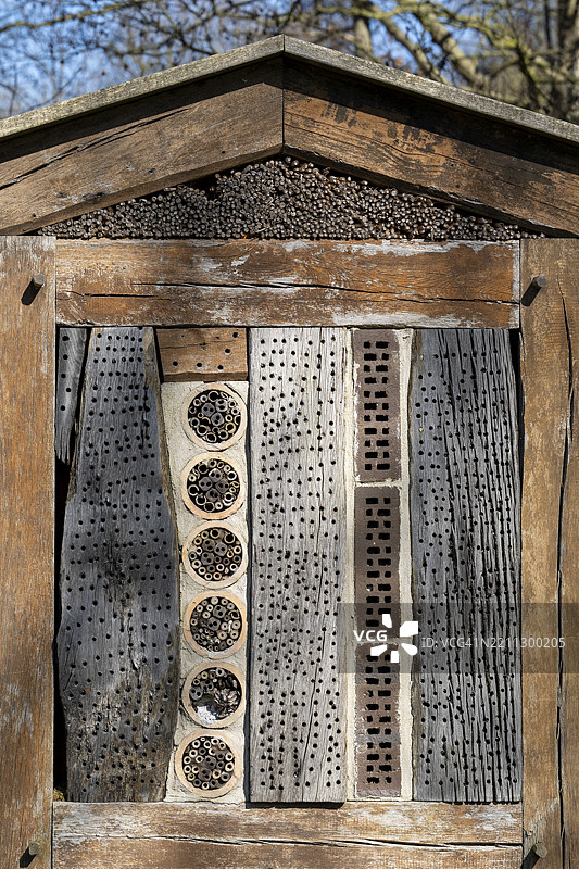 德国北莱茵-威斯特法伦州雷达-维登布吕克的榆树采石场森林中的昆虫旅馆图片素材