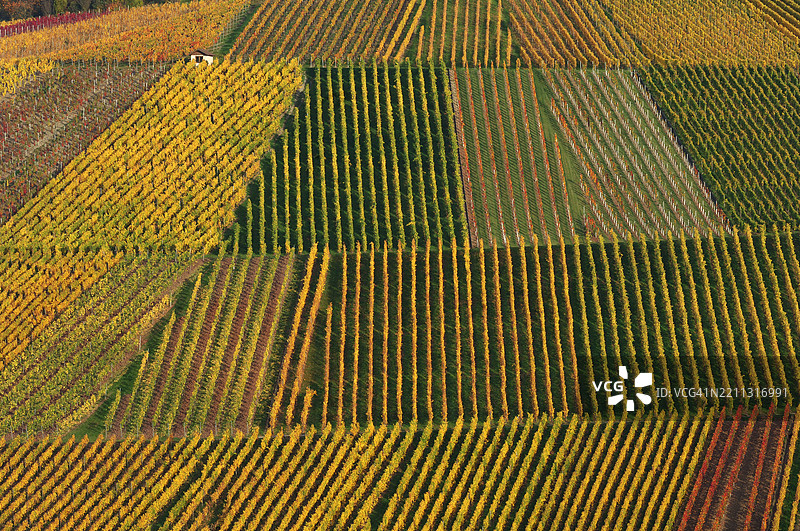 德国斯图加特与海尔布隆之间秋季色彩斑斓的葡萄园鸟瞰图图片素材