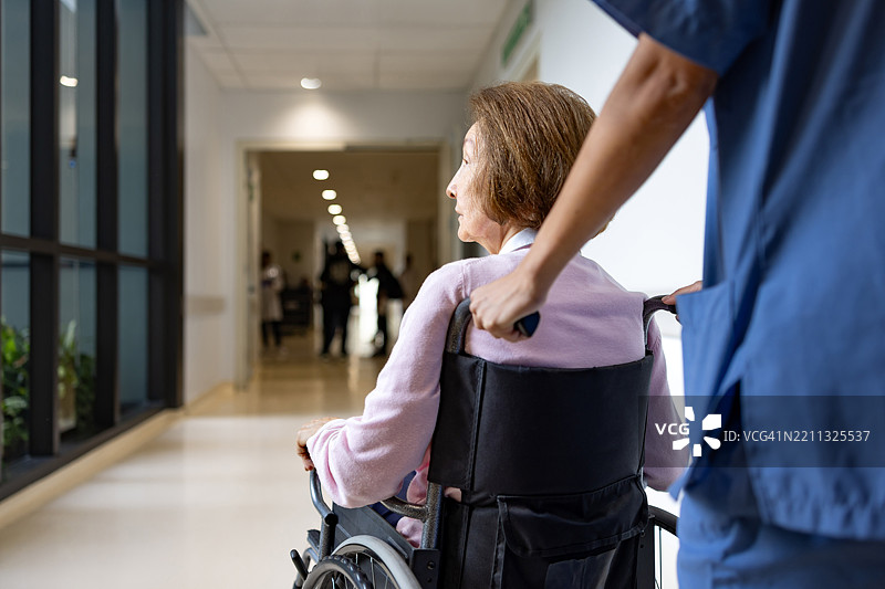 护士在医院推着一位老年女性坐在轮椅上，背影。图片素材