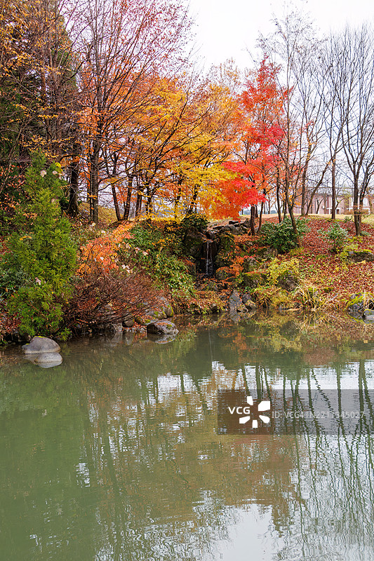 寺庙旁的公园。池塘边有一个小瀑布。秋天的落叶正好适合这个季节。图片素材