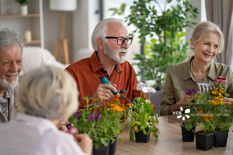 专注的老年人细心照料他们的植物图片素材