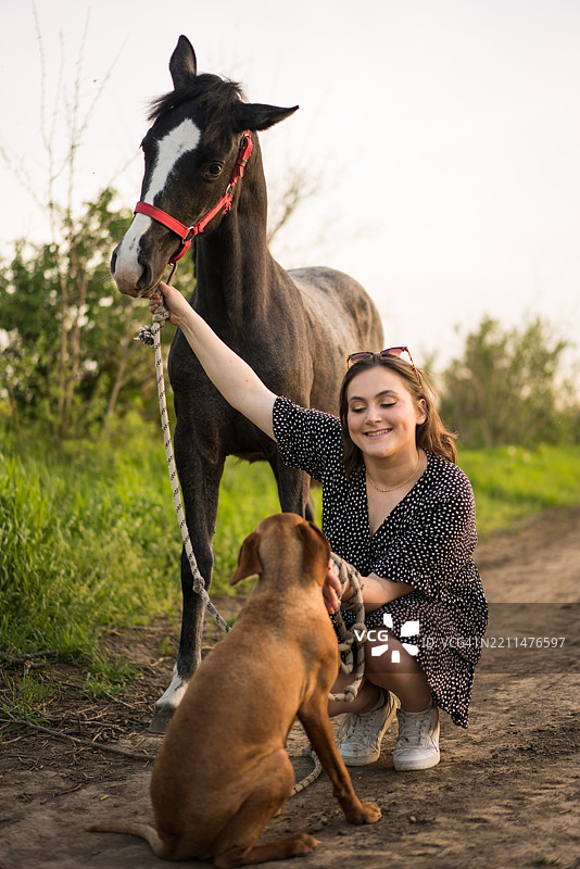 年轻女性在乡间小路上抚摸马和狗图片素材