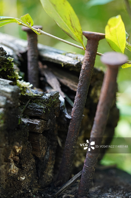 生锈金属的特写镜头图片素材