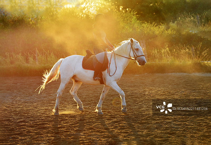 年轻女性在大自然中骑马图片素材