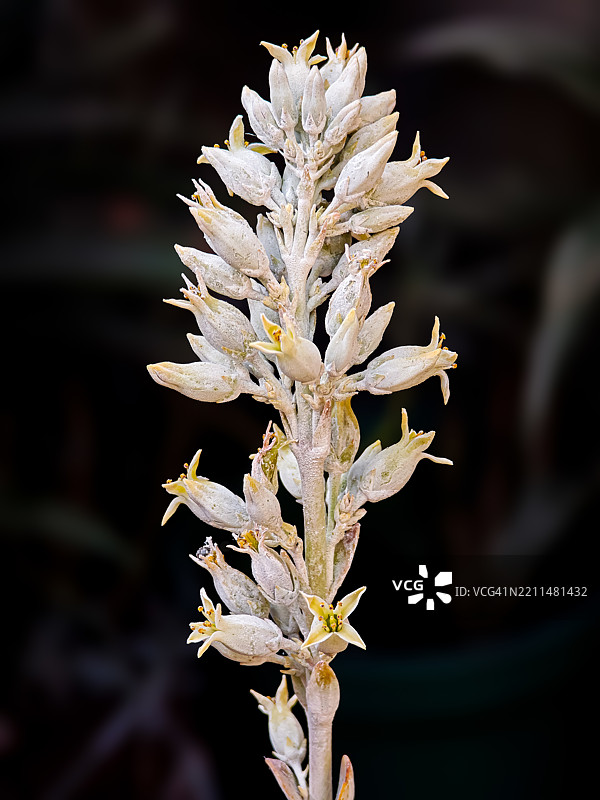 有多少事情在一天被否定，第二天却成为现实——儒勒·凡尔纳图片素材