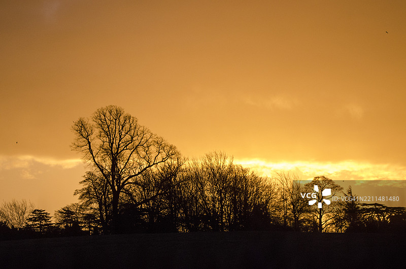 日落时分，树木的剪影映衬在天空中，米尔顿凯恩斯，英国图片素材