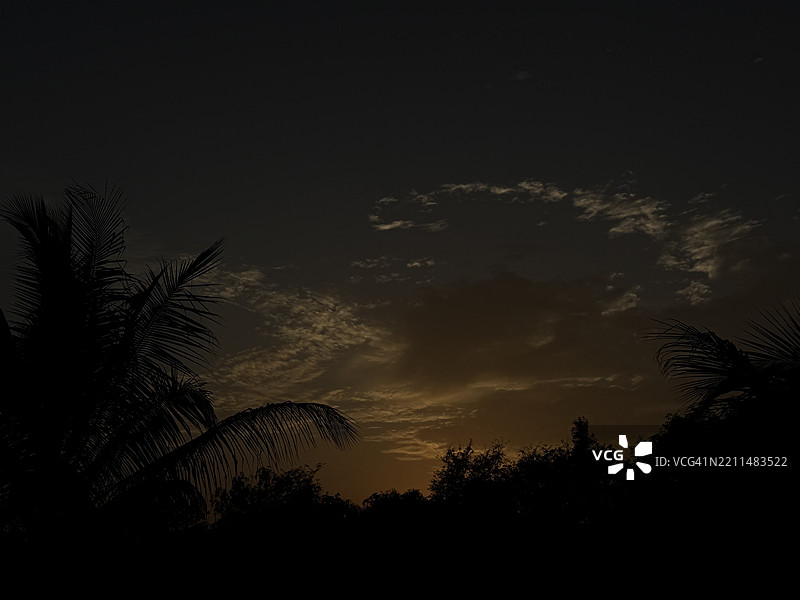 夜空下树木的剪影，帕尔加尔，马哈拉施特拉邦，印度图片素材