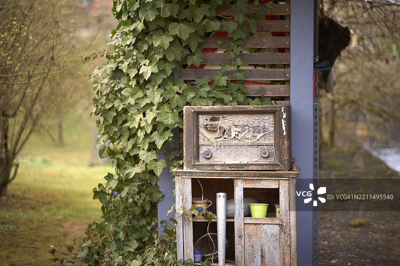 树上的邮箱特写图片素材