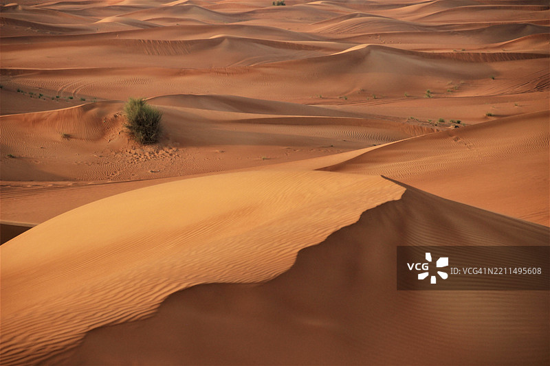 沙漠的美丽景色图片素材