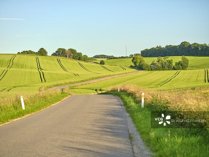美丽的乡村小路穿过起伏的绿色田野，蓝天清澈如洗。图片素材